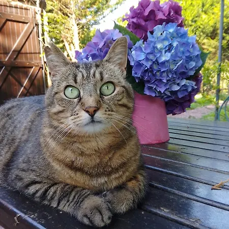 La Chevallerie - Exclusive Tranquil Oasis