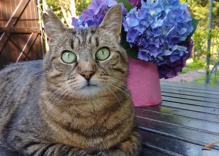 La Chevallerie - Exclusive Tranquil Oasis